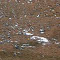 dscf0556.jpg