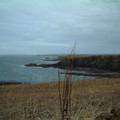 dscf0582.jpg