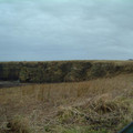 dscf0583.jpg