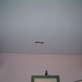 dscf0584.jpg
