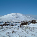 dscf0683.jpg