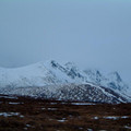 dscf0708.jpg