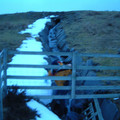 dscf0710.jpg
