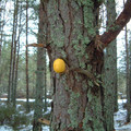 dscf0713.jpg