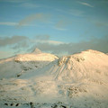 scot0304_0720.jpg