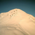 scot0304_0741.jpg