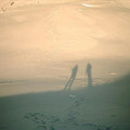 scot0304_0749.jpg