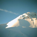scot0304_0771.jpg
