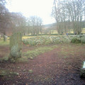scot0304_0794.jpg