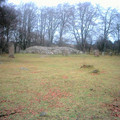 scot0304_0795.jpg