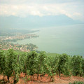 CH_0278.jpg