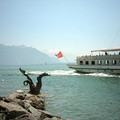CH_0316.jpg
