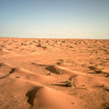 tunisia_1103.jpg