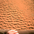tunisia_1106.jpg