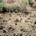 utah07.jpg