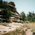 utah09.jpg
