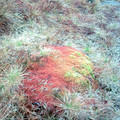 DS2_0767new.jpg