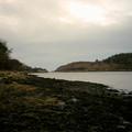 DS2_0817new.jpg