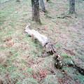 DS2_0818new.jpg