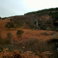 DS2_0826new.jpg