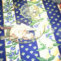 DS2_0845new.jpg