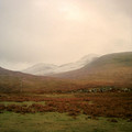 DS2_0900new.jpg