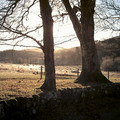 DS2_0913new.jpg