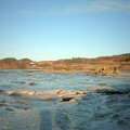 DS2_0915new.jpg