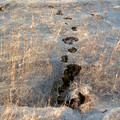 DS2_0916new.jpg