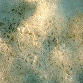 DS2_0917new.jpg