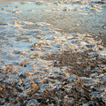 DS2_0924new.jpg