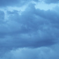 100_6116.jpg