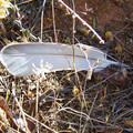 100_6136.jpg