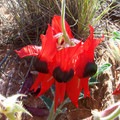 100_6141.jpg
