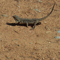 100_6230.jpg