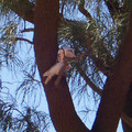 100_6235.jpg