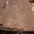 100_6237.jpg