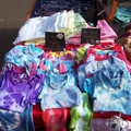 100_9294.JPG