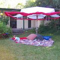 100_5358.jpg