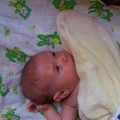100_8422.JPG