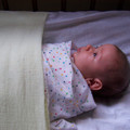 100_8437.JPG