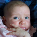 100_8475.JPG