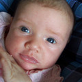 100_8478.JPG