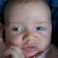 100_8481.JPG