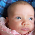 100_8482.JPG