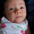 100_8491.JPG