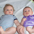 100_8847.JPG
