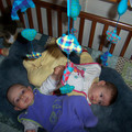 100_8884.JPG