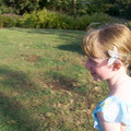 100_6591.jpg
