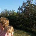 100_6596.jpg